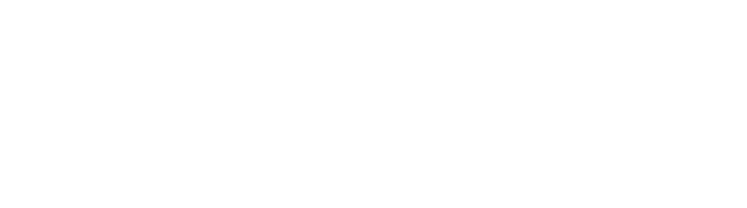 logo_footer